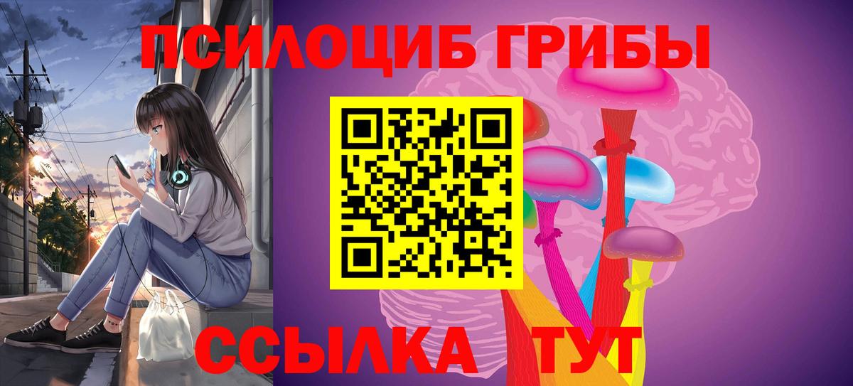 Кострома  Псилоцибиновые грибы Psilocybine cubensis  Вход с VPN 