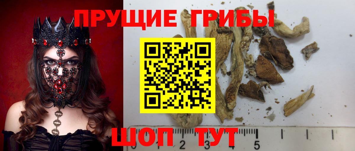 Галлюциногенные грибы мицелий Кострома